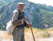 Goatherd